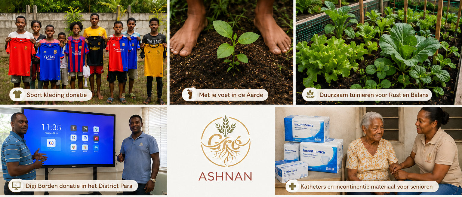 Een overzicht van projecten